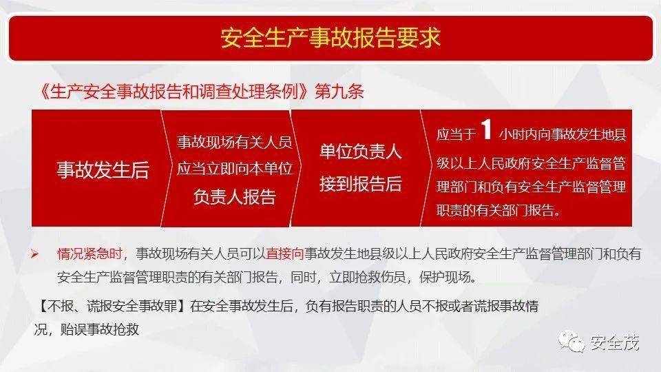 澳门4949开奖免费资料，全面释义、解释与落实