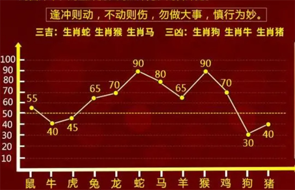 一肖一码一一肖一子，精选解析、解释与落实